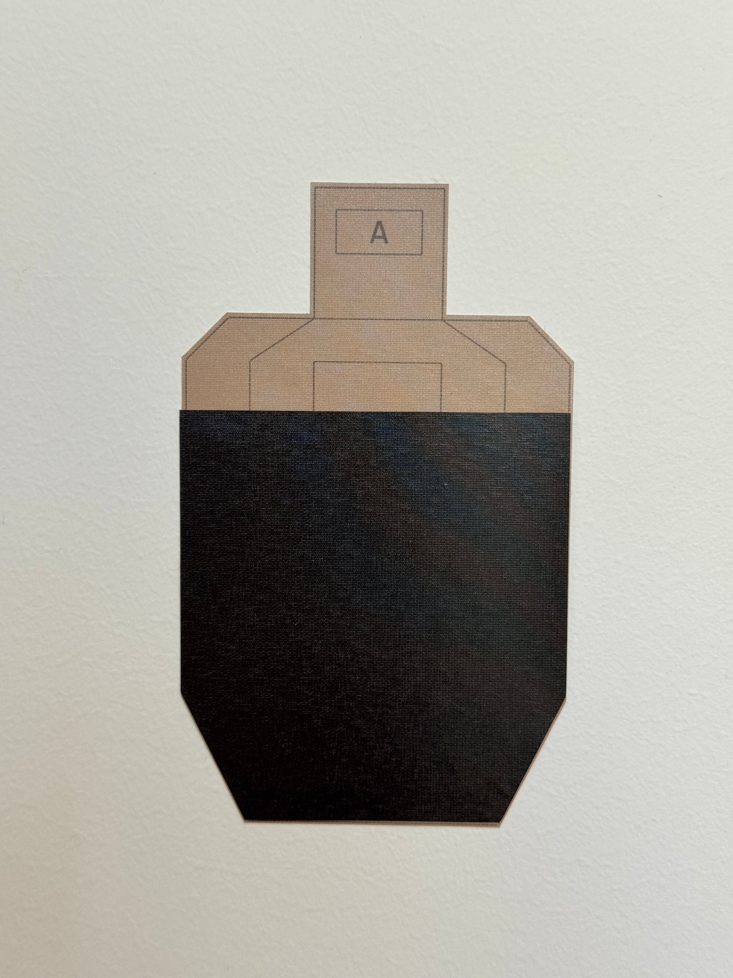 DryStick™ USPSA Target Accessory Kit